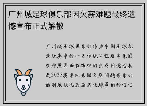 广州城足球俱乐部因欠薪难题最终遗憾宣布正式解散